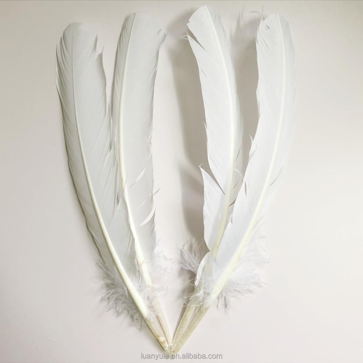 Lightweight Washed Duck Goose Feather for Shuttlecock Production with High Durability and Performance