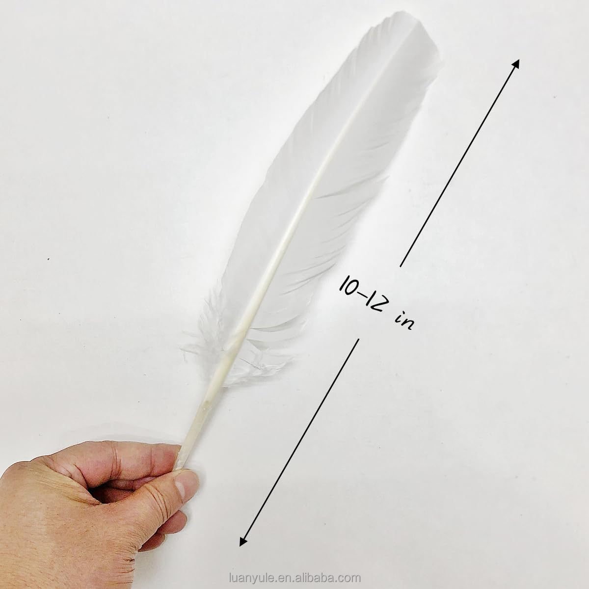 Lightweight Washed Duck Goose Feather for Shuttlecock Production with High Durability and Performance