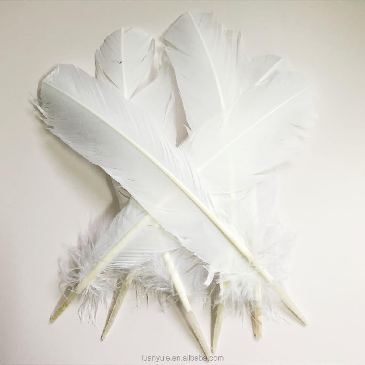 Lightweight Washed Duck Goose Feather for Shuttlecock Production with High Durability and Performance