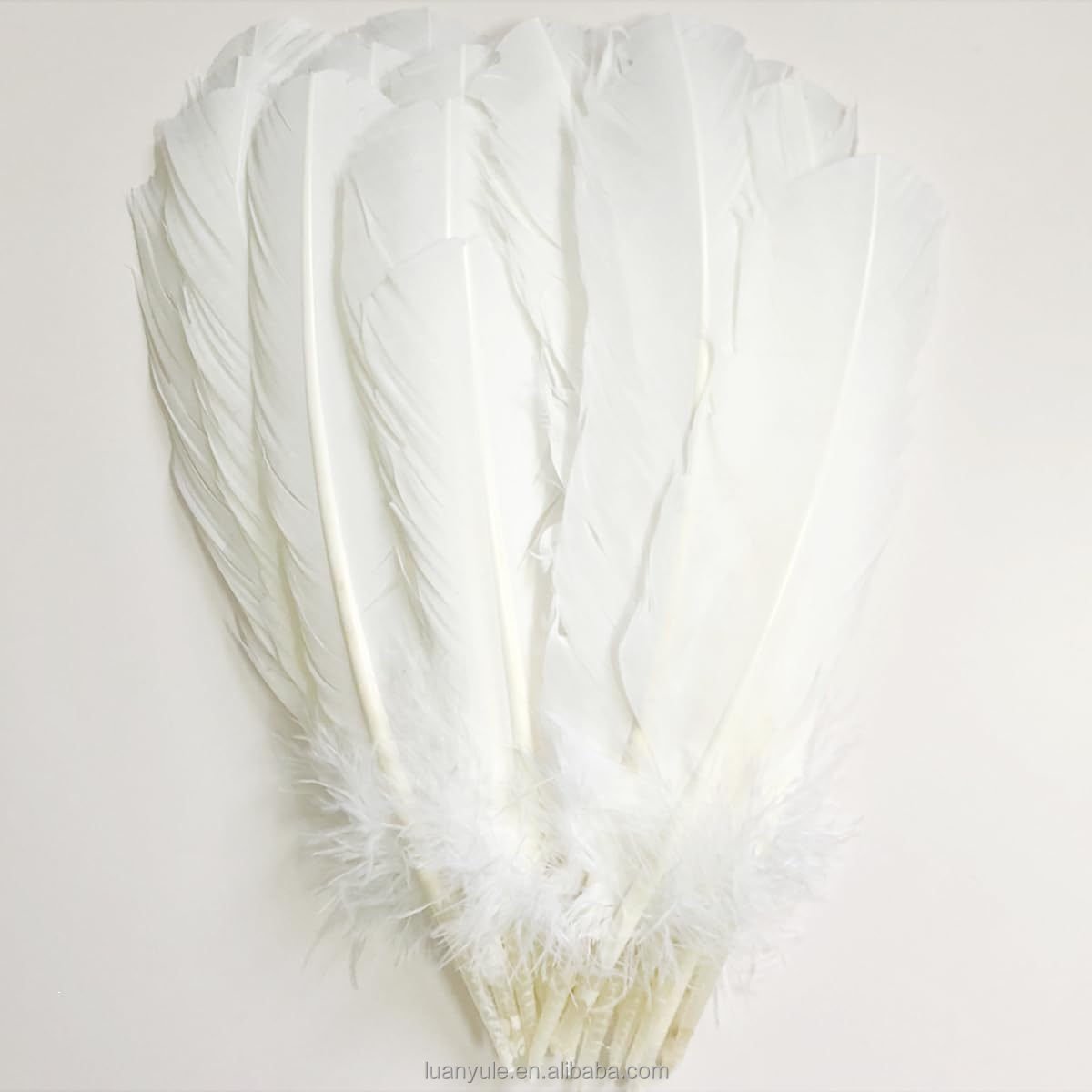 Lightweight Washed Duck Goose Feather for Shuttlecock Production with High Durability and Performance