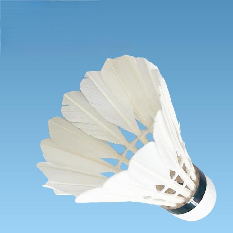 Best Selling Class a Goose Feather Outdoor Training Badminton Shuttlecock