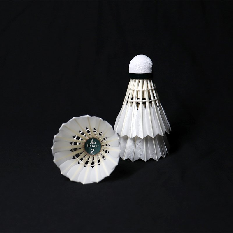 Popular International Competition Brand Badminton Ball Class A Duck Feather Badminton Shuttlecock