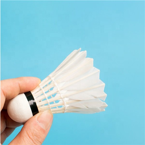 Professional Customized Badminton Shuttlecock Duck/Goose Feather Shuttlecock/Nylon Shuttlecocks