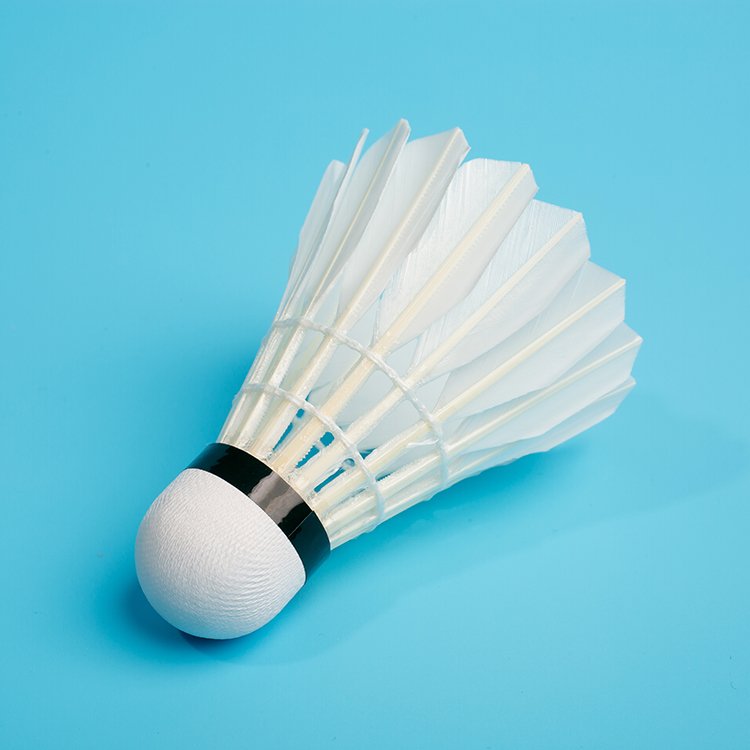 Professional Customized Badminton Shuttlecock Duck/Goose Feather Shuttlecock/Nylon Shuttlecocks