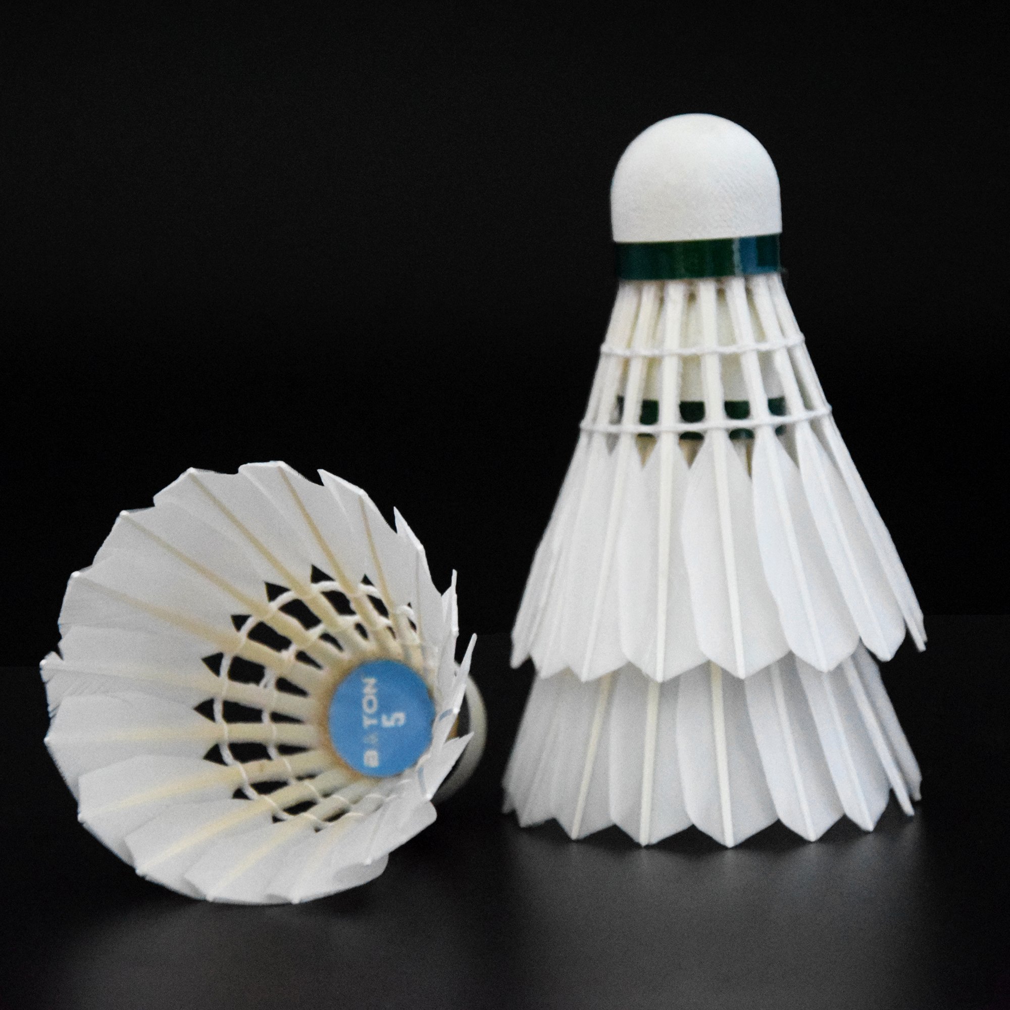 Indoor Sports Badminton Shuttle cock