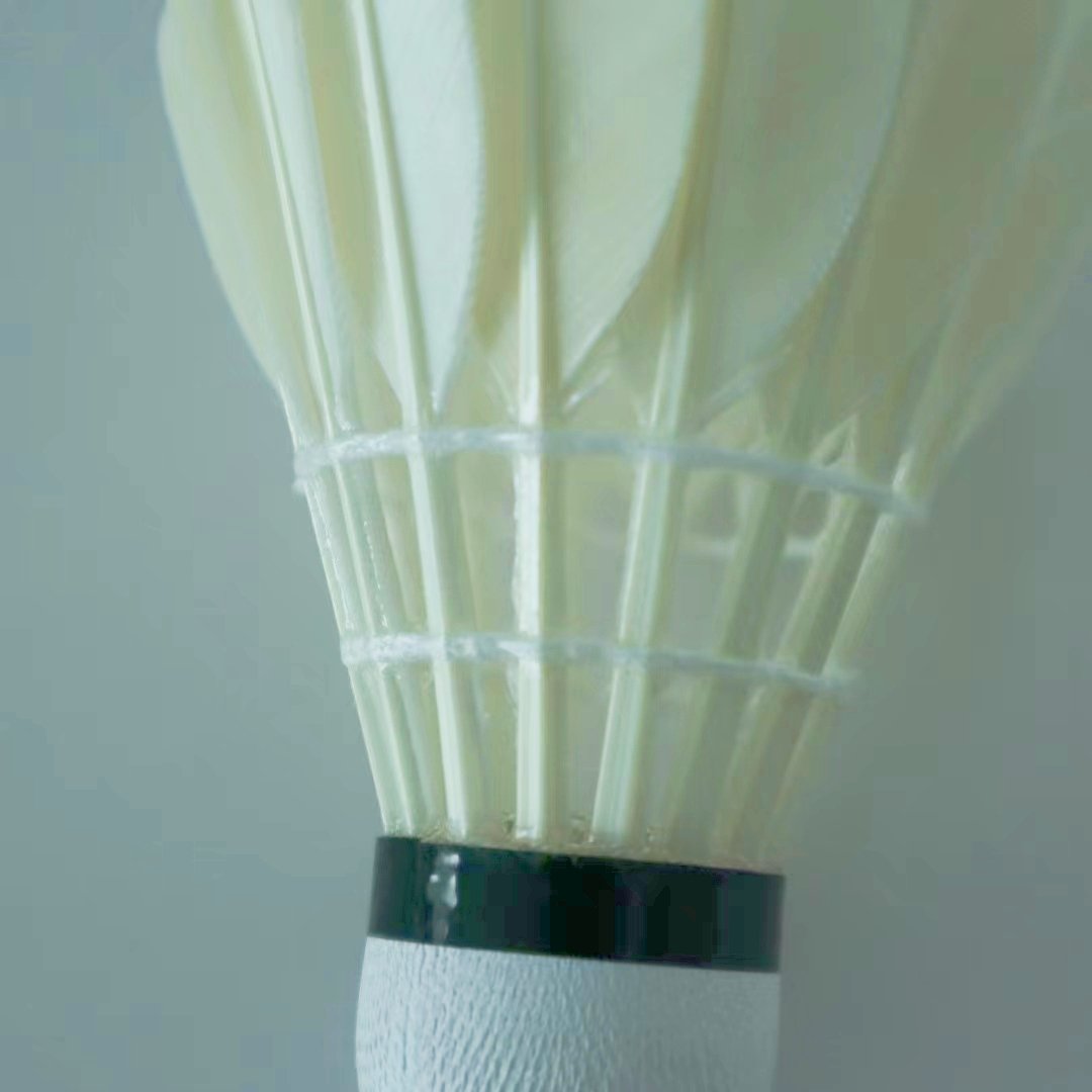 Professional All-Round Class D Goose Feather Badminton Shuttlecock for Use
