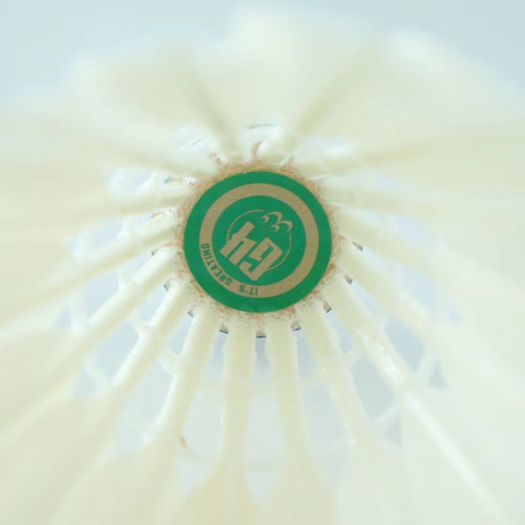 Professional All-Round Class D Goose Feather Badminton Shuttlecock for Use