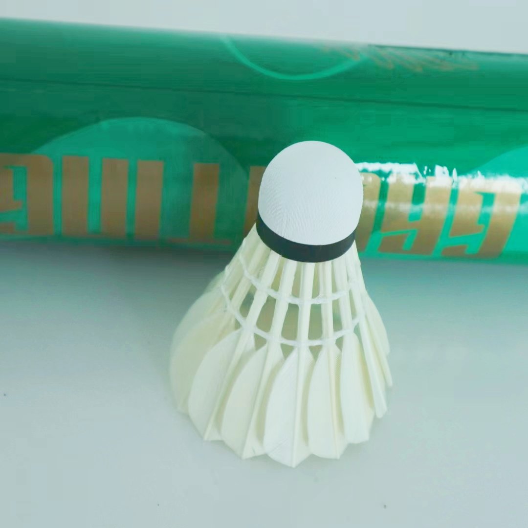 Professional All-Round Class D Goose Feather Badminton Shuttlecock for Use