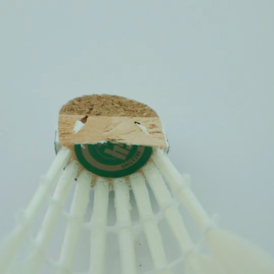 Professional All-Round Class D Goose Feather Badminton Shuttlecock for Use
