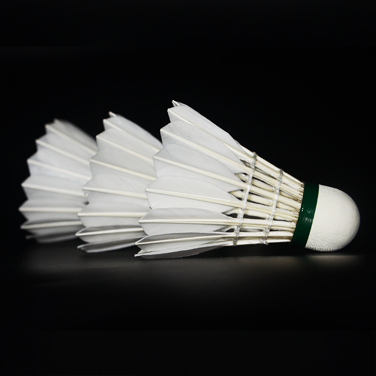 Top Quality White Durable super Feather Retail Super Class Goose Feather Badminton Shuttlecock for Tournament