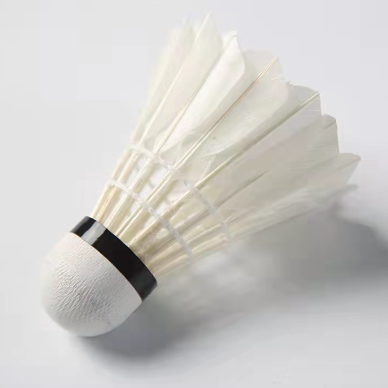 Fitness Sports Entertainment Products Sport Badminton Shuttlecock Other Sports Fitness Equipment
