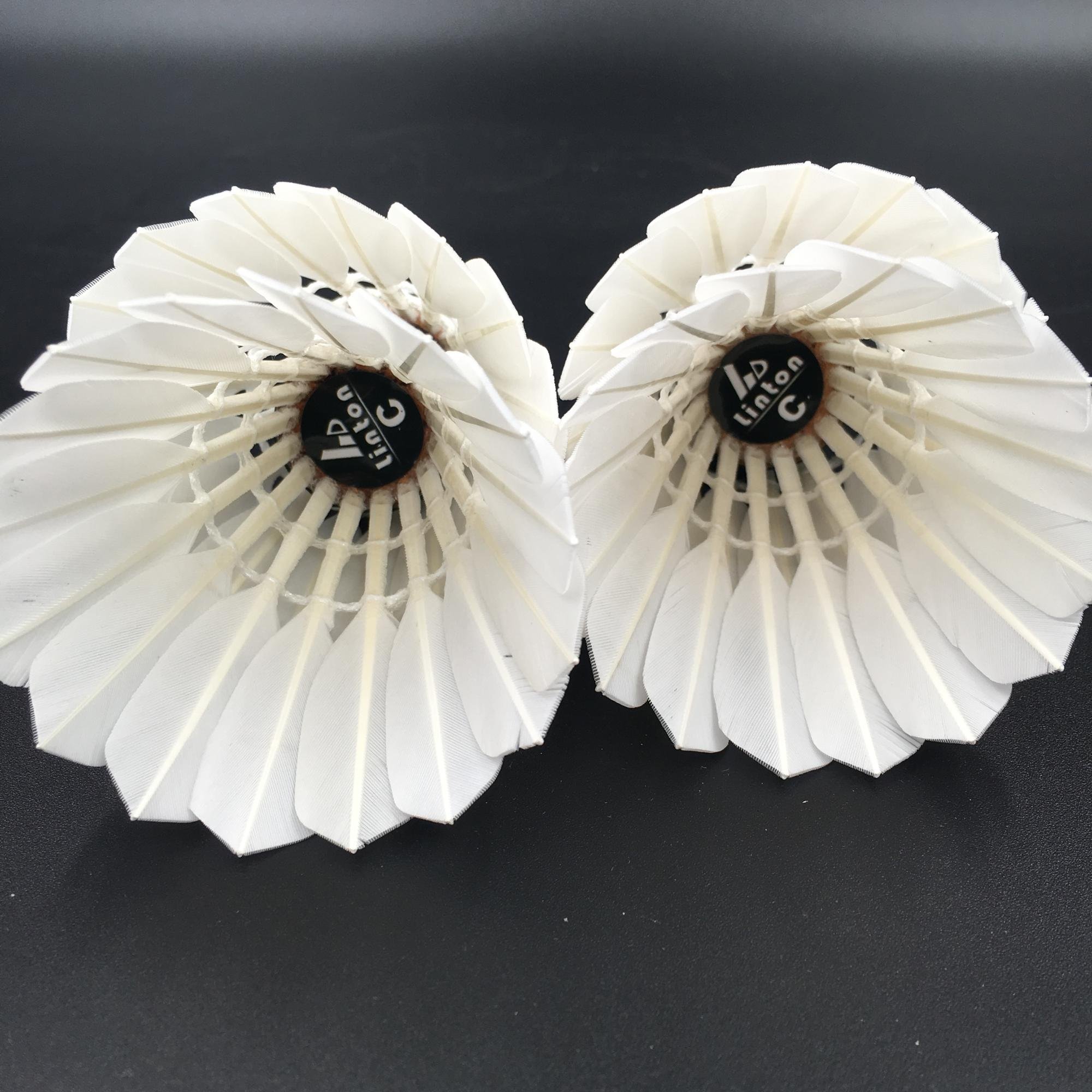 Hot Selling Duck Feather Two Layer Cork Shuttlecock Badminton With High Quality