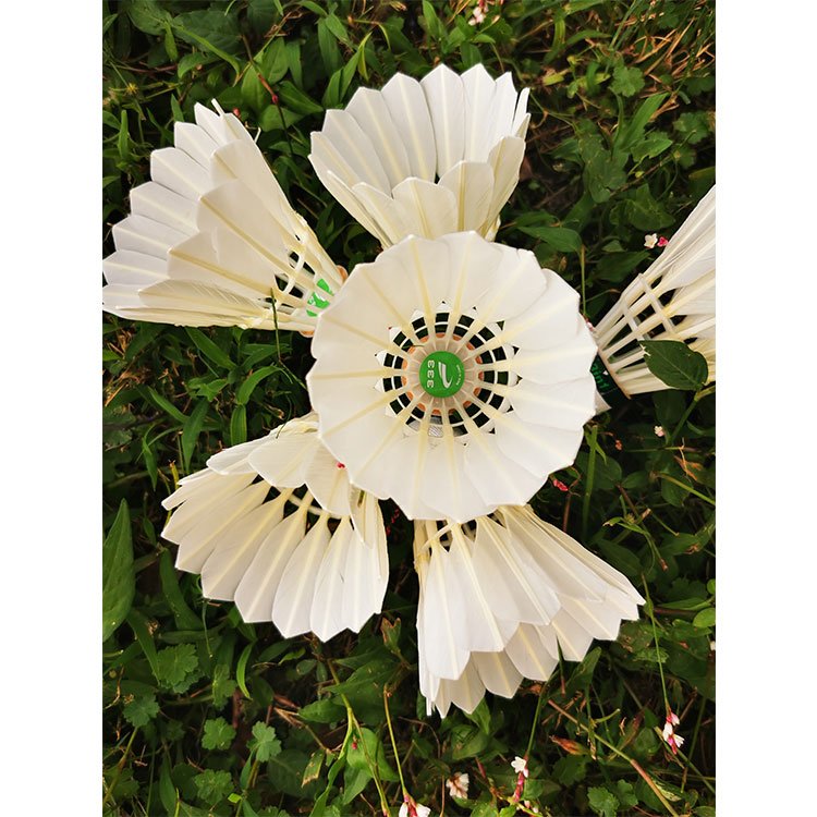 3in1 Hybrid Type Training Shuttlecock Duck Feather Badminton Shuttlecock Anyball333 Badminton