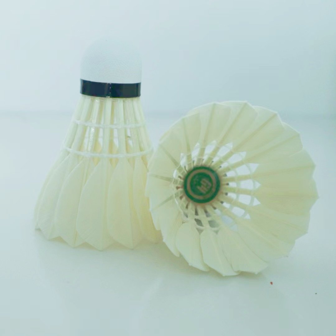 Professional All-Round Class C Goose Feather Badminton Shuttlecocks For professional Training