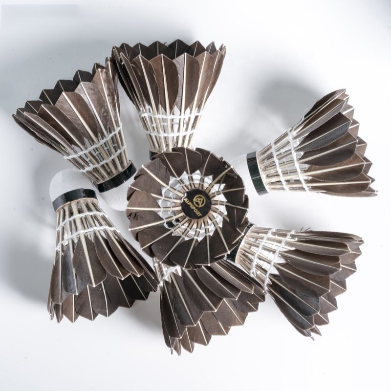ALP 806 12pcs/Tube Shuttlecocks Black Goose Feather 76-77 Speed Badminton Ball Stable Flight Use For Badminton Training