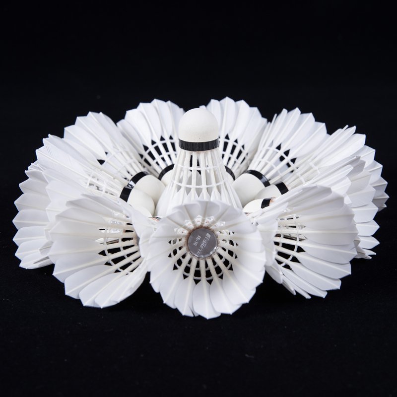 China Factory Class A Goose Feather Shuttlecock of Fly 10 series Used for competition tournament to Korea