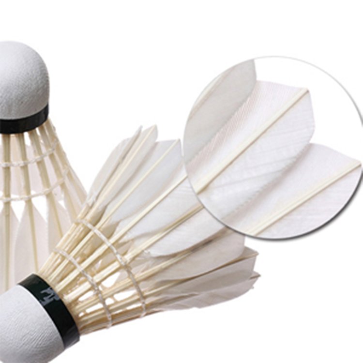 2023 China manufacturer Wholesale White Goose Feature Durable Professional Training Wholesale Shuttlecock For Training
