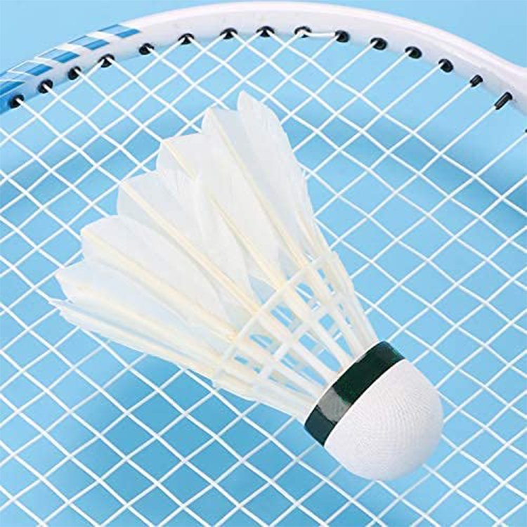 2023 China manufacturer Wholesale White Goose Feature Durable Professional Training Wholesale Shuttlecock For Training
