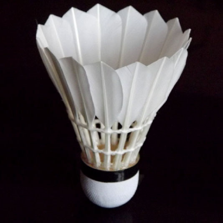 Top Grade Class A Goose Feather Shuttlecock For International Tournament Badminton Shuttlecocks Shuttle Cock