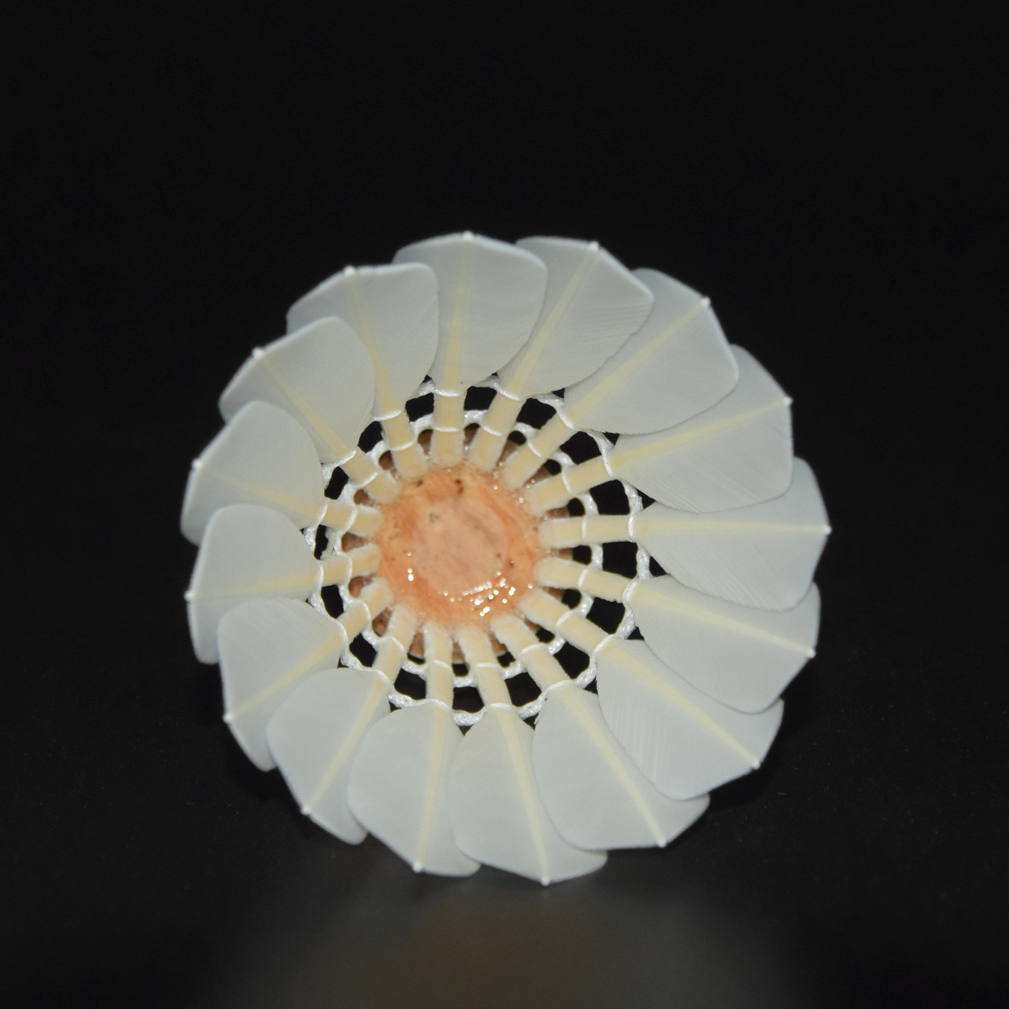 Super Grade Shuttlecocks Badminton Shuttlecock Flight A Competition Ball