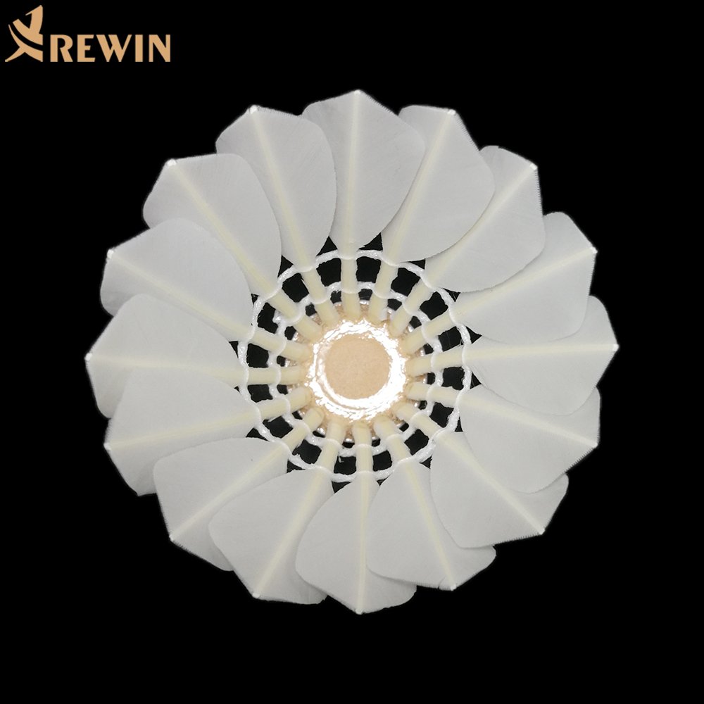 404 Factory Wholesale Good Quality Duck Feather Badminton Shuttlecock
