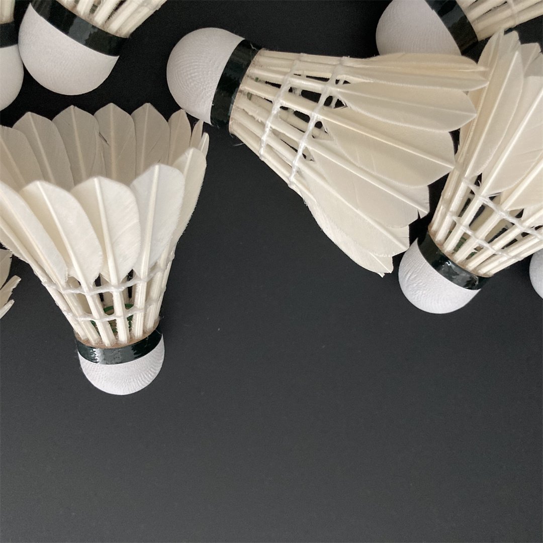 Factory Supply Badminton Shuttlecock 6PCS Super Grade Goose Shuttle Cock