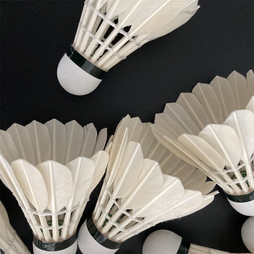 Factory Supply Badminton Shuttlecock 6PCS Super Grade Goose Shuttle Cock