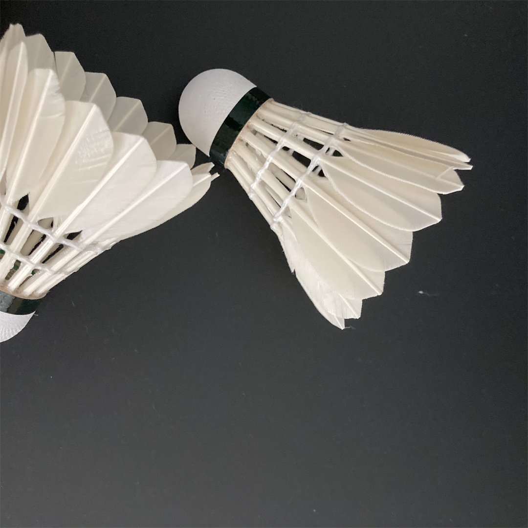 Factory Supply Badminton Shuttlecock 6PCS Super Grade Goose Shuttle Cock