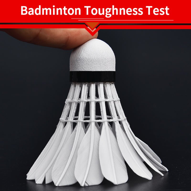 12 piece shuttlecoke tube packing Class A grade super durabel white color goose feather badminton shuttlecock