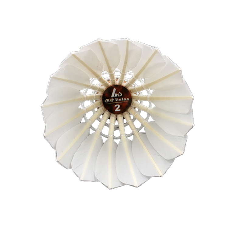 Wholesale fleet badminton shuttlecock from manufacturer china