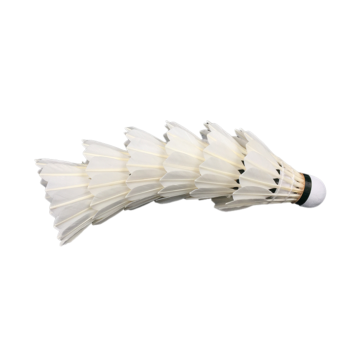 Wholesale fleet badminton shuttlecock from manufacturer china