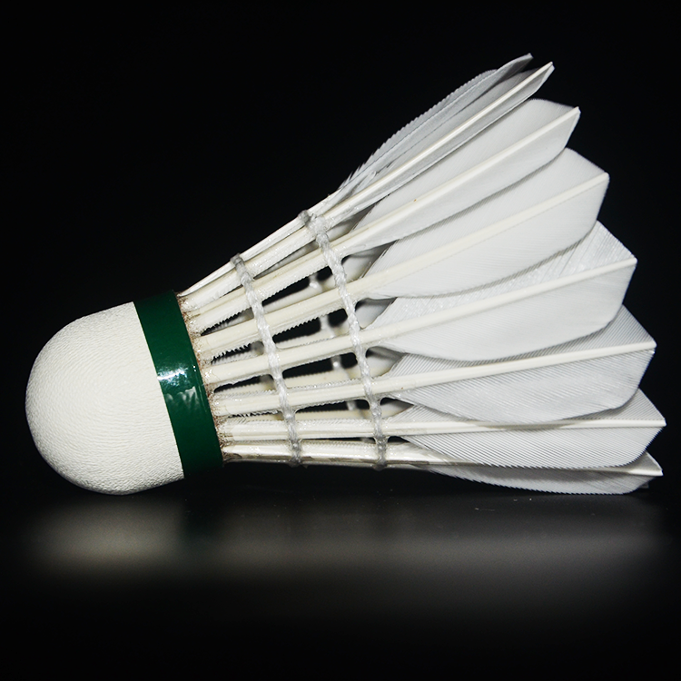 Dmantis Brand G8 Model Regular Shuttlecock Popular Hot Seller Badminton Shuttlecock Traditional Type