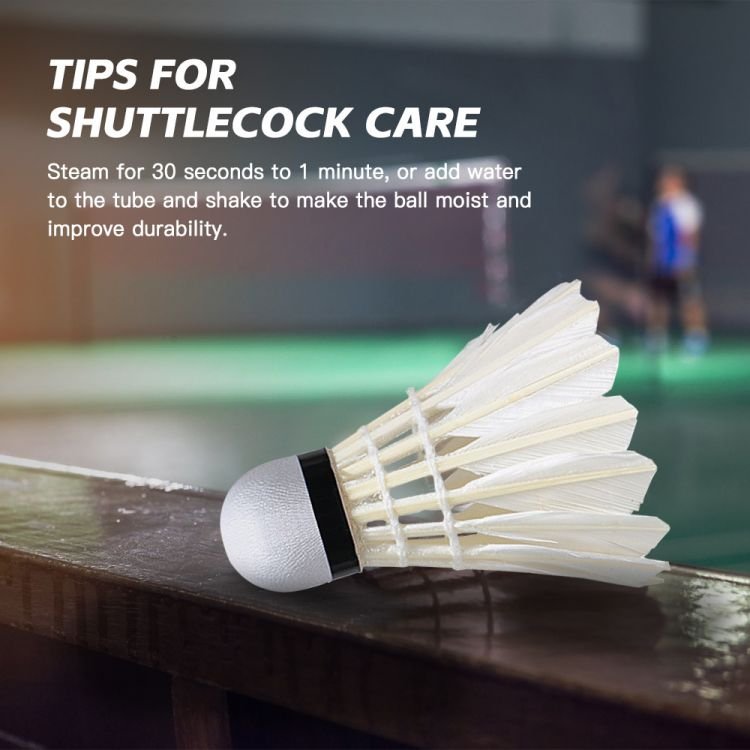 Feather Shuttlecocks for Badminton Outdoor 12-Pack Beginner Training Badminton Shuttlecocks Suitable for Indoor and Outdoor Badm