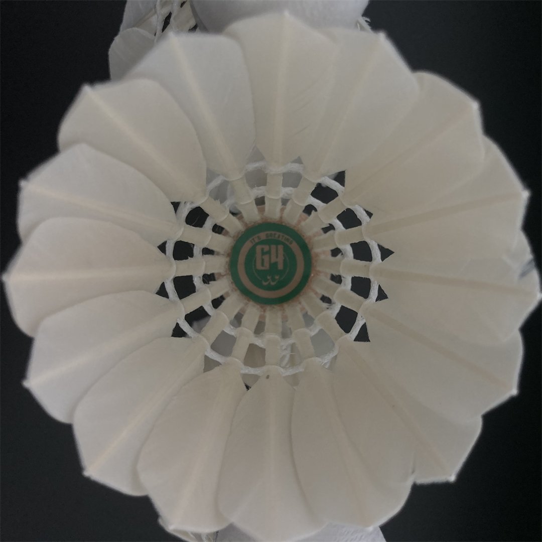 Factory Custom Provided Badminton Shuttlecocks Birdies,12 Pack Training Badminton Balls