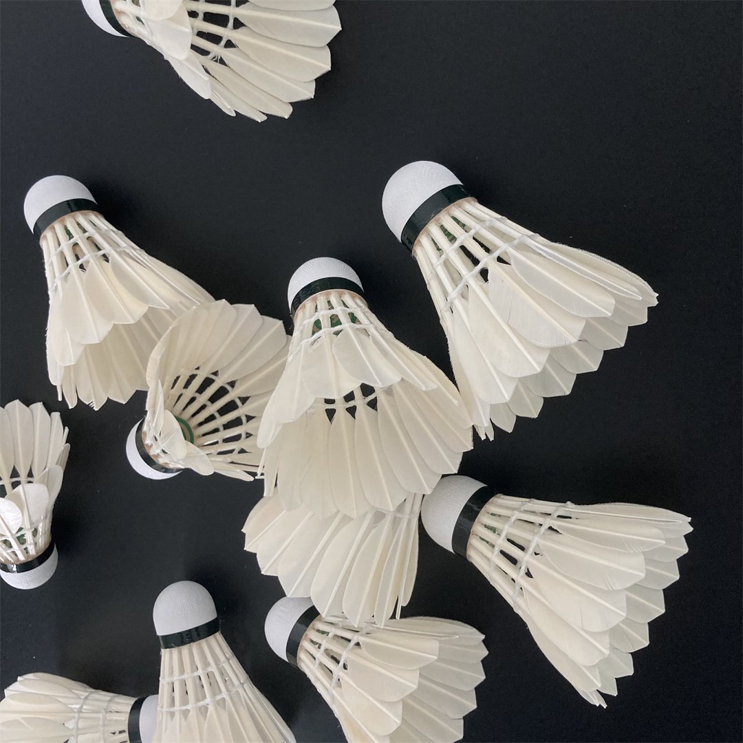 Factory Custom Provided Badminton Shuttlecocks Birdies,12 Pack Training Badminton Balls