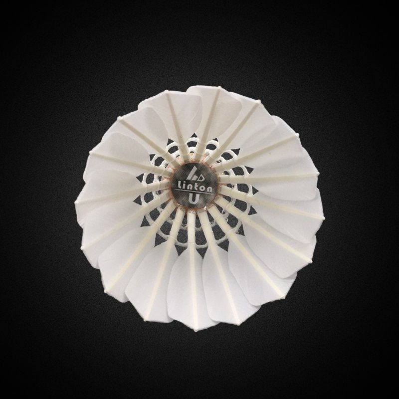 Fine workmanship customized advanced glue goose feather rsl classic badminton shuttlecock