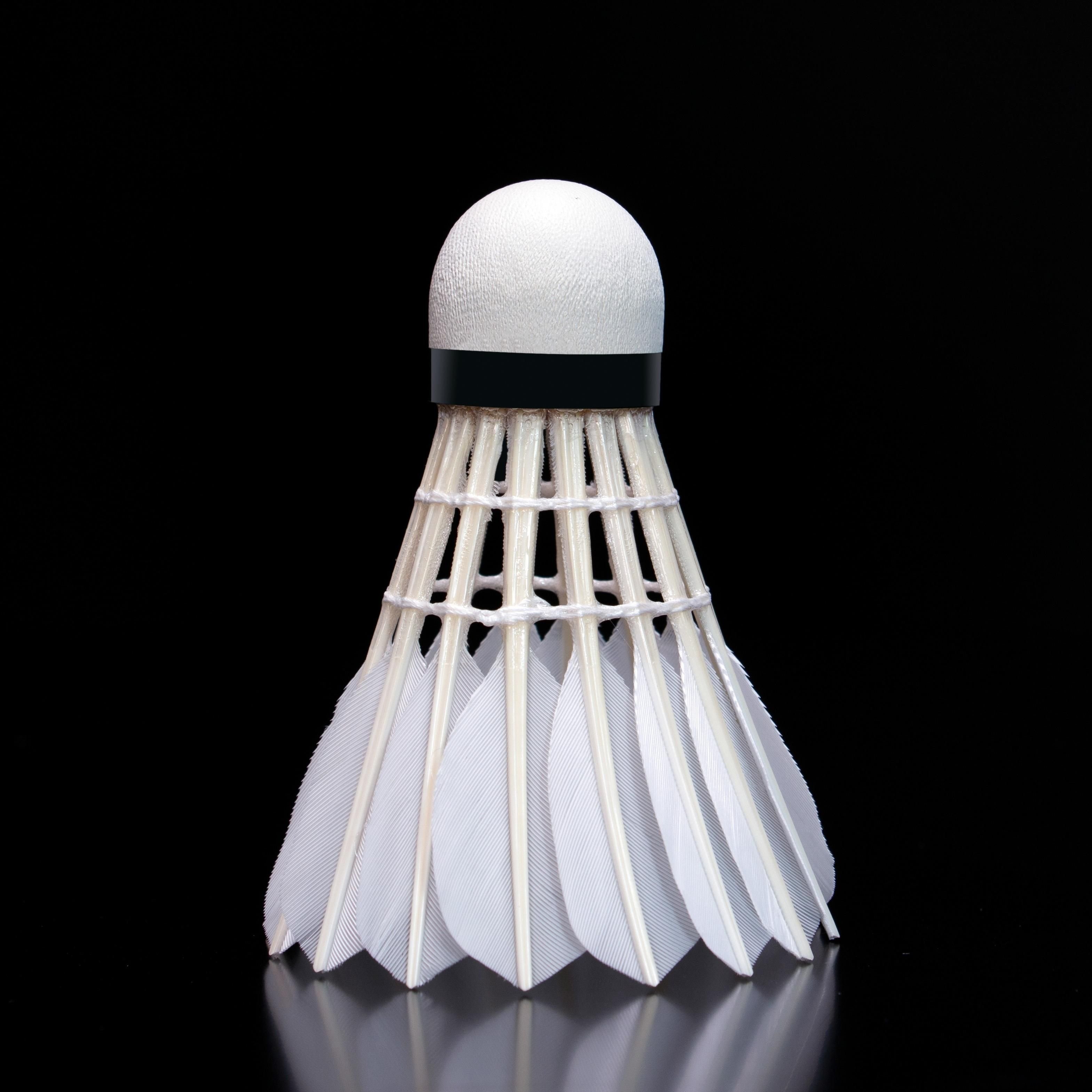 LINGMEI 10 Wholesale Premium Goose Feather Badminton Shuttlecock for Pro Matches as RSL as Lining