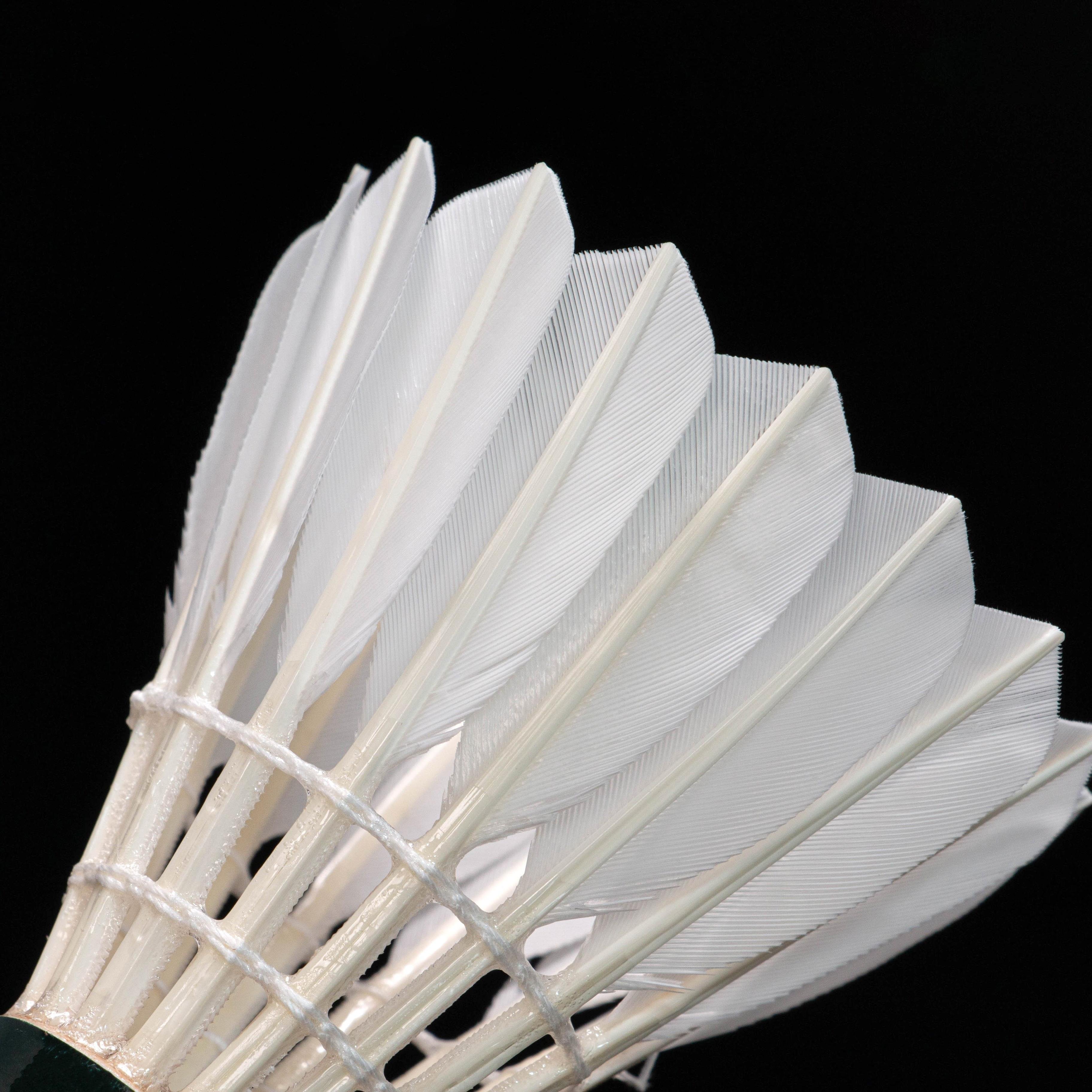 LINGMEI 10 Wholesale Premium Goose Feather Badminton Shuttlecock for Pro Matches as RSL as Lining
