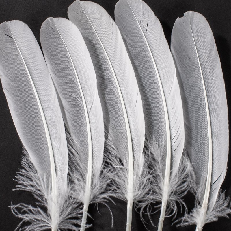 High Quality Goose Feather Shuttlecock and Badminton Direct Sale from Manufacturer Washed Accessory