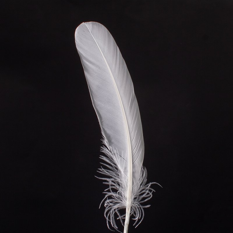 High Quality Goose Feather Shuttlecock and Badminton Direct Sale from Manufacturer Washed Accessory