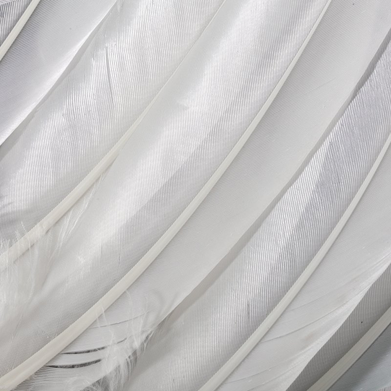 High Quality Goose Feather Shuttlecock and Badminton Direct Sale from Manufacturer Washed Accessory