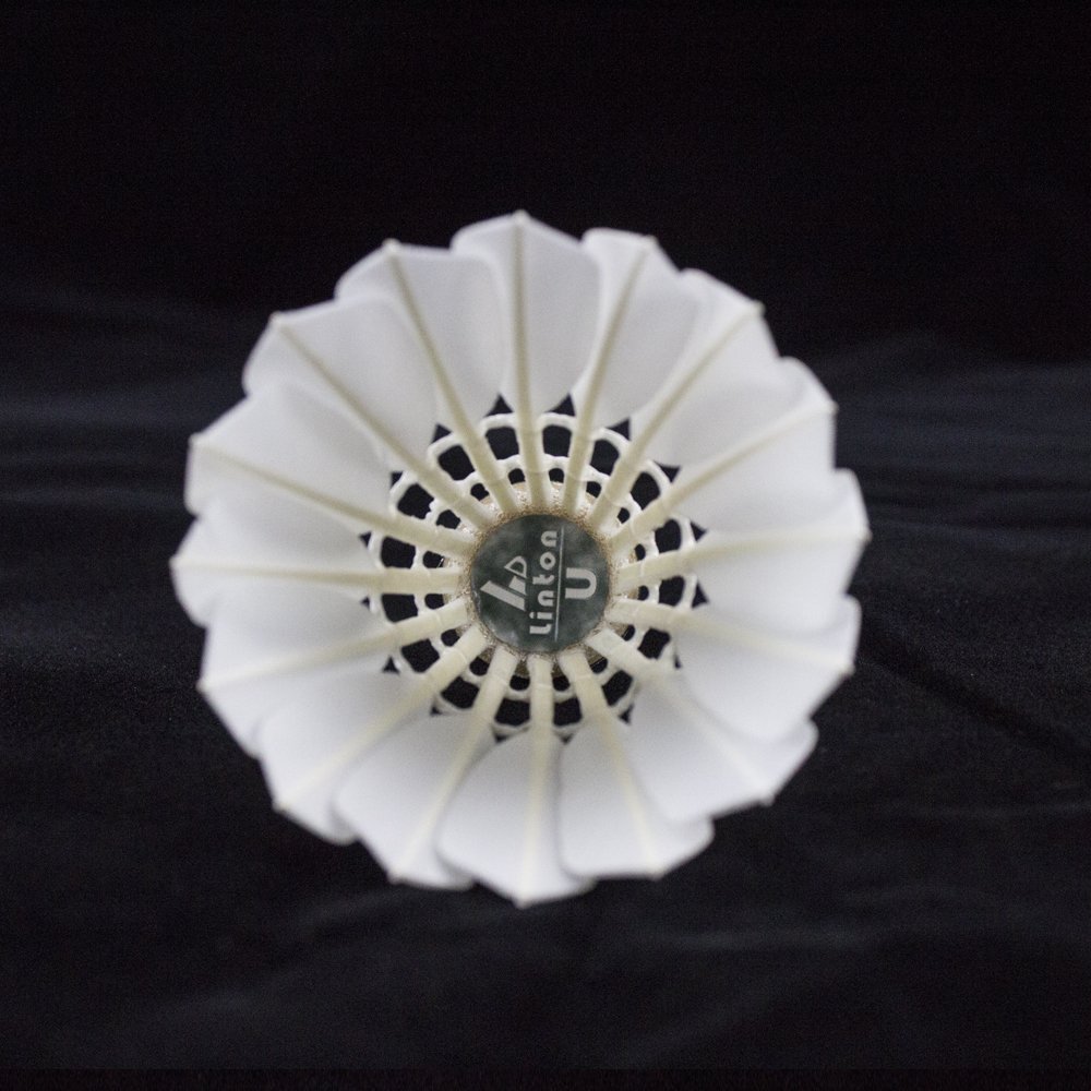 China factory direct supply wholesale 2 layers cork head oem goose feather badminton shuttlecock