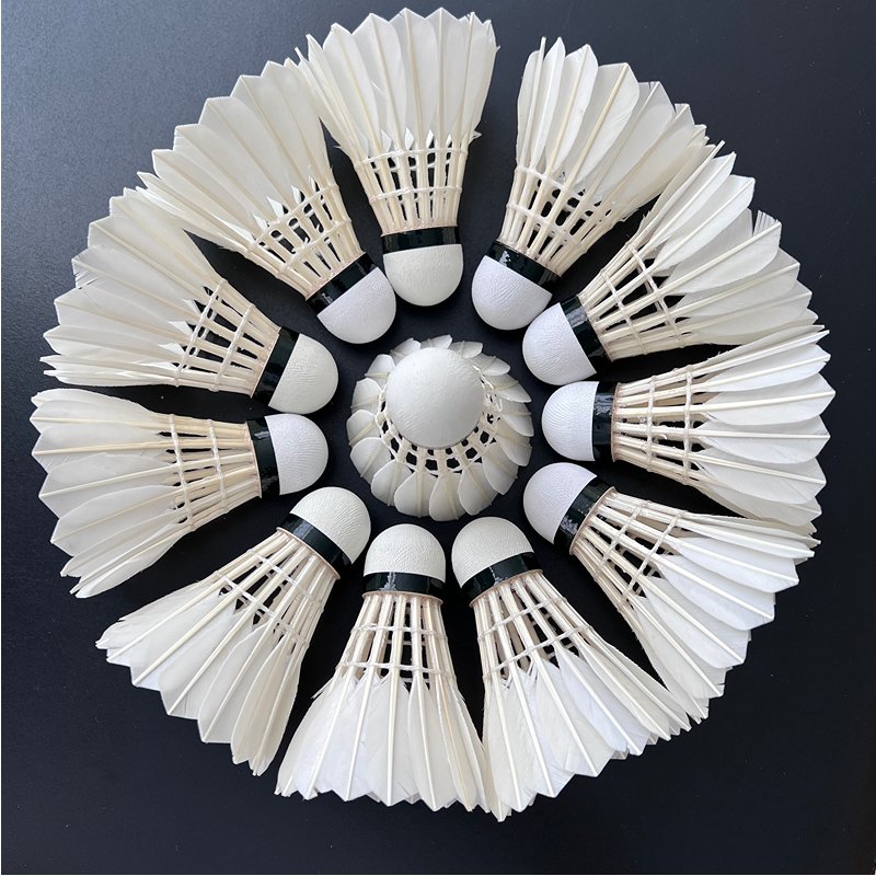 OEM Badminton Shuttlecock Best Durability flying Grade 1 straight duck feather shuttlecock for club competition 12pcs