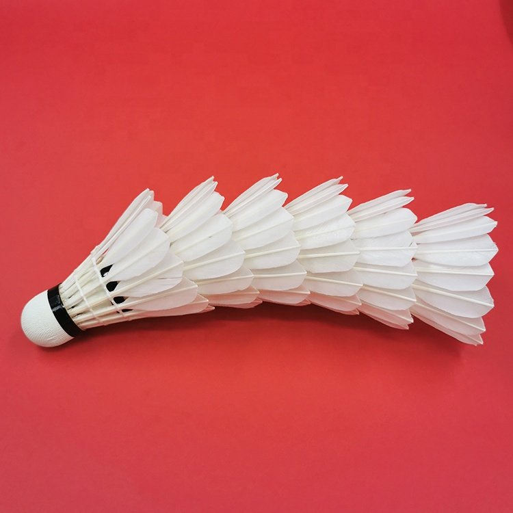BWF Approved Badminton Shuttlecock Long Feather Badminton Shuttlecock Class B Duck Feather Badminton Shuttles