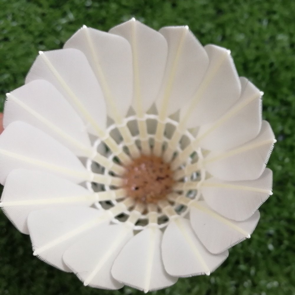 Factory Supply lingmei brand badminton shuttlecock Super Grade shuttlecock goose feather