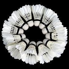 2021Professional badminton ball ,badminton duck feather shuttlecocks indoor