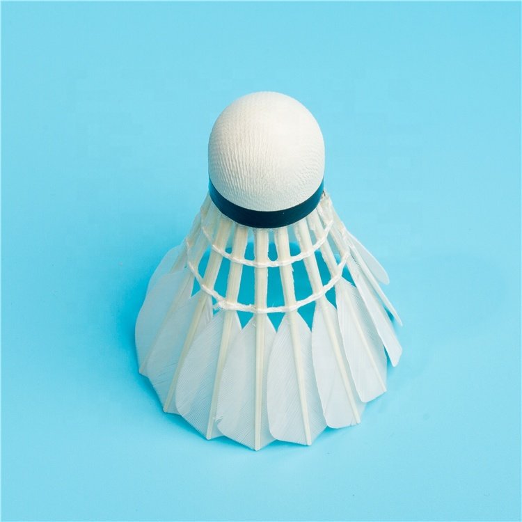 Professional Durable Feather Baton Badminton Shuttlecock Badminton Aeroplane Shuttlecock Eg1130