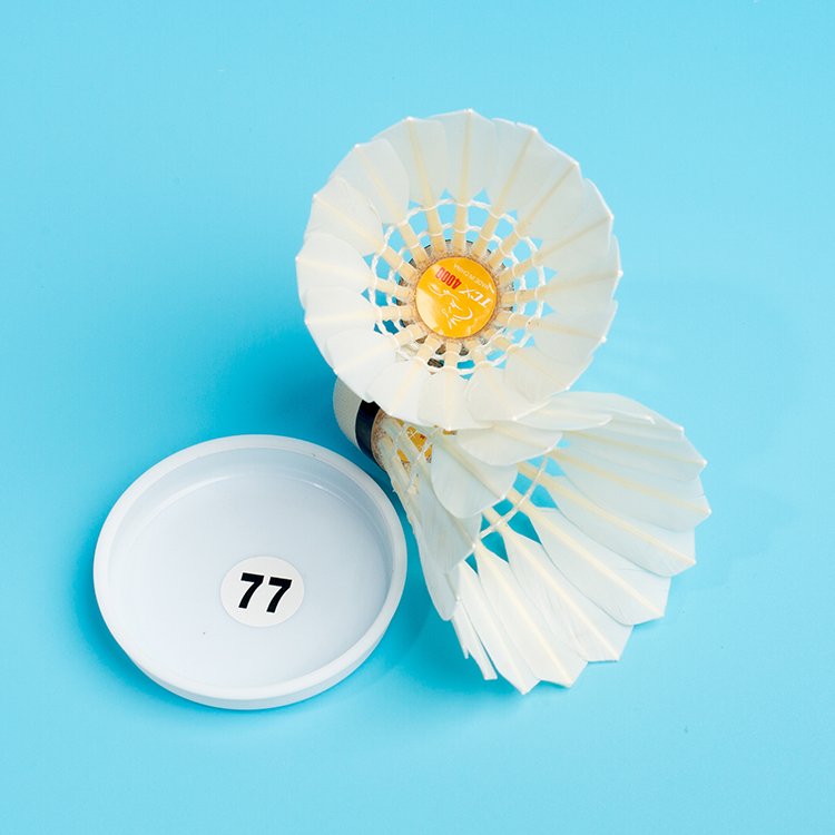 Professional Durable Feather Baton Badminton Shuttlecock Badminton Aeroplane Shuttlecock Eg1130