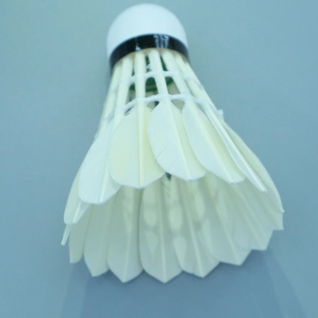 Shuttlecock Feather Factory Sale Chinese Factory Most Durable Goose Feather