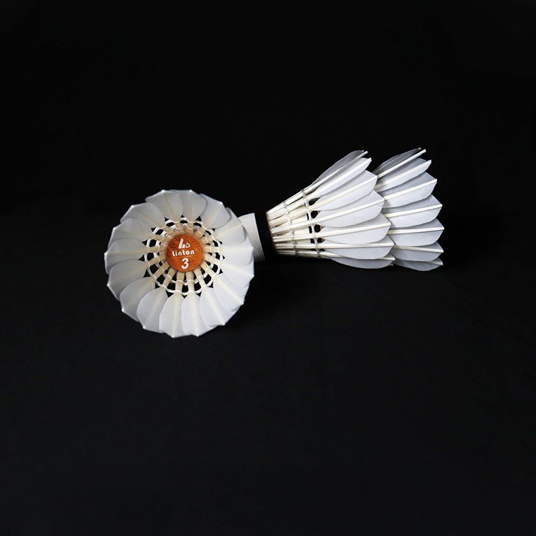 Wholesale Factory Direct Sale Popular Exercise Fitness Duck Feather Good Flight Badminton